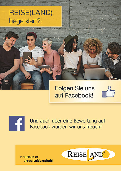 Mini Flyer Facebook